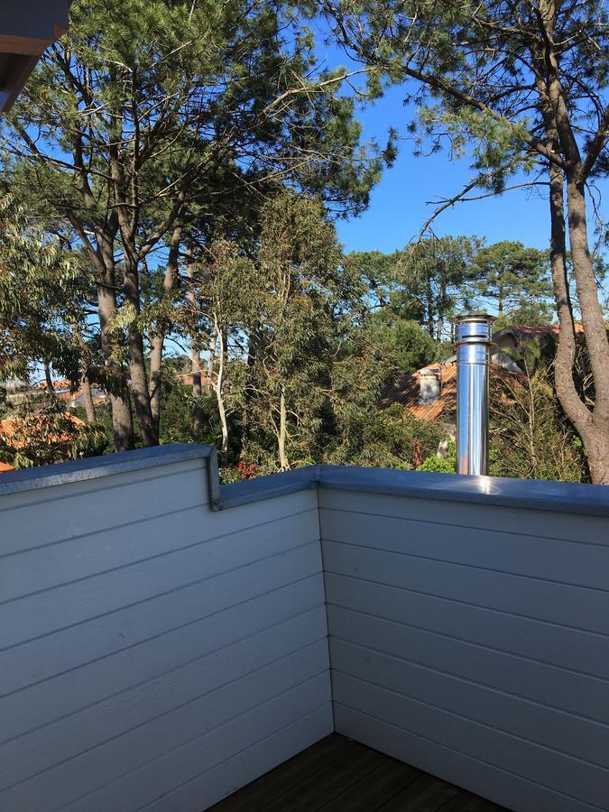 Maison Arbolateia Avec Piscine Et Spa Bidart Exteriör bild