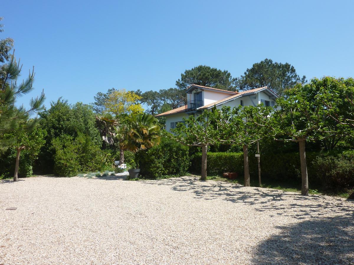 Maison Arbolateia Avec Piscine Et Spa Bidart Exteriör bild