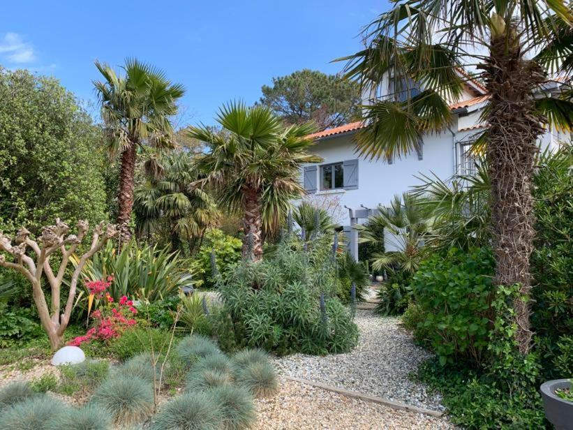 Maison Arbolateia Avec Piscine Et Spa Bidart Exteriör bild